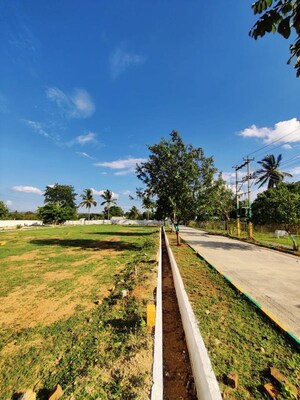  Plot – Exterior View View at Hoskote - for Sale
