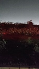111 Sq.Ft. Plot in Mansarovar Extension