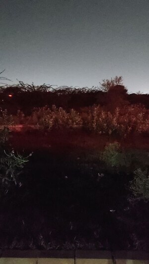  Plot For Sale in Mansarovar Extension