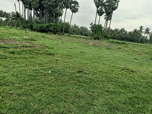 Plot Area in  Plot at Kothapalem – for Sale