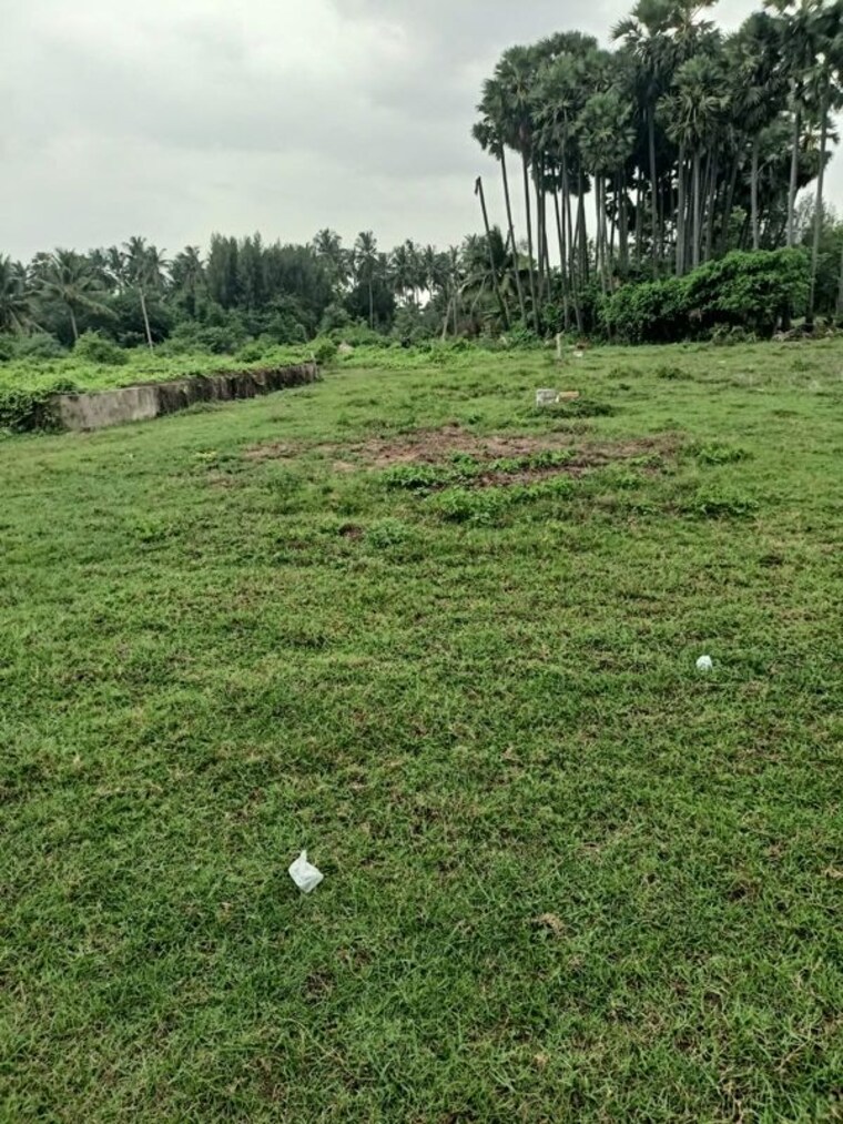 undefined, kothapalem  166 Sq.Ft. Plot In Kothapalem Vizag 10632528