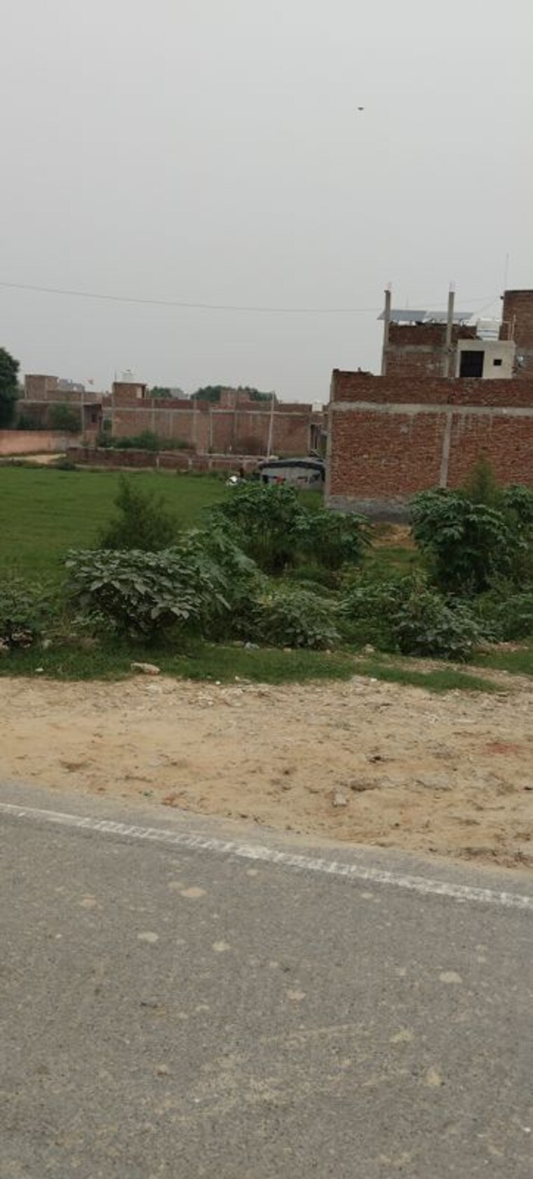undefined, shiv-shakti-apartments-noida  90 Sq.Yd. Plot In Sector 71 Noida 10632657