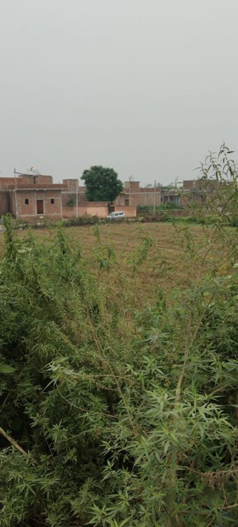 undefined, shiv-shakti-apartments-noida  90 Sq.Yd. Plot In Sector 71 Noida 10632657