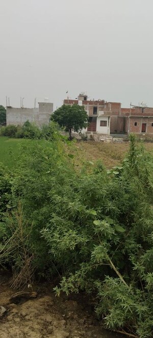  Plot – Exterior View View at Shiv Shakti Apartments Noida, Sector 71 - for Sale