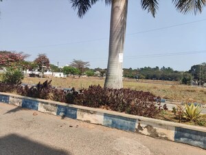 Plot Area in  Plot at Classic Elmwood, Jigani – for Sale