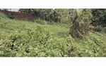 1620 Sq.Ft. Plot in Raghunathpur