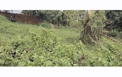 Plot For Sale in Raghunathpur