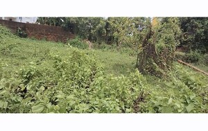  Plot For Sale in Raghunathpur