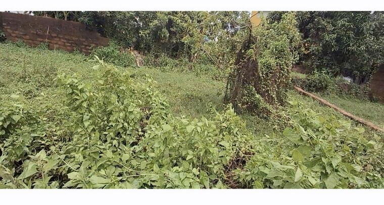 Garden, raghunathpur  1620 Sq.Ft. Plot In Raghunathpur Bhubaneswar 10632667