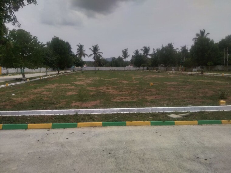 Exterior View, robertson pet  1200 Sq.Ft. Plot In Robertson Pet Kolar 10632733