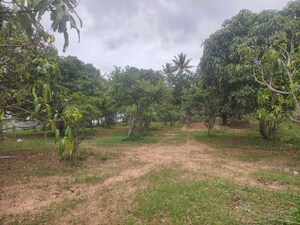 Plot Area in  Land at Begur – for Sale