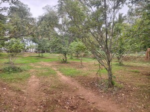 Plot Area in  Land at Begur – for Sale