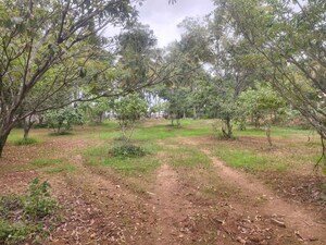 Plot Area in  Land at Begur – for Sale