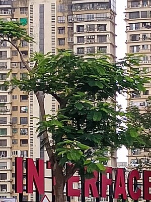 2 BHK Apartment For Rent in Interface Building, Malad West