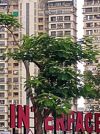 2 BHK 700 Sq.Ft. Apartment in Interface Building
