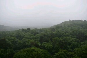 3 BHK Apartment – Garden View at Raheja Estate, Borivali East - for Rent