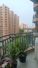 3.5 BHK + Prayer Room,Servant Room,Study Room 2600 Sq.Ft. Builder Floor in Ardee City Palm Grove Heights