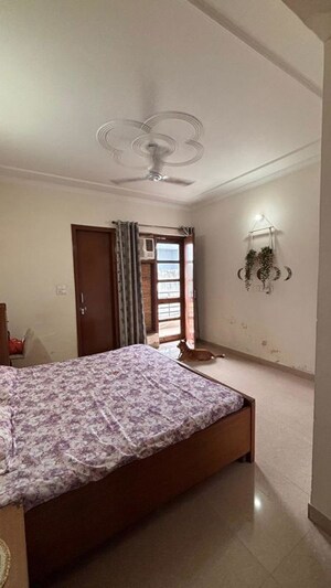 1 BHK Builder Floor For Rent in Saket