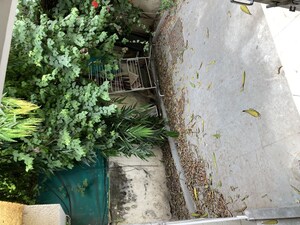 3 BHK Independent House – Exterior View View at Jodhpur - for Rent