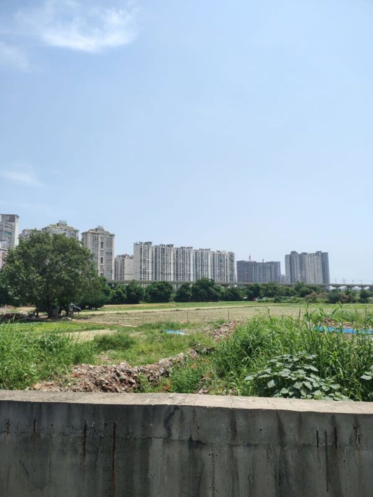 undefined, sector 49 Commercial Land 1500 Sq.Yd. In Sector 49 Noida 10633261