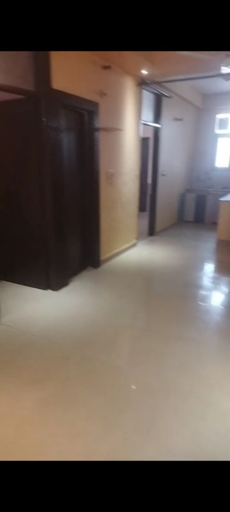 Room, pratap vihar 2 Bedroom 65 Sq.Mt. Builder Floor In Pratap Vihar Ghaziabad 10633289