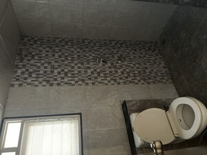 Bathroom in 2 BHK Apartment at Tirupati Kashi Ganga, Dhanori – for Rent