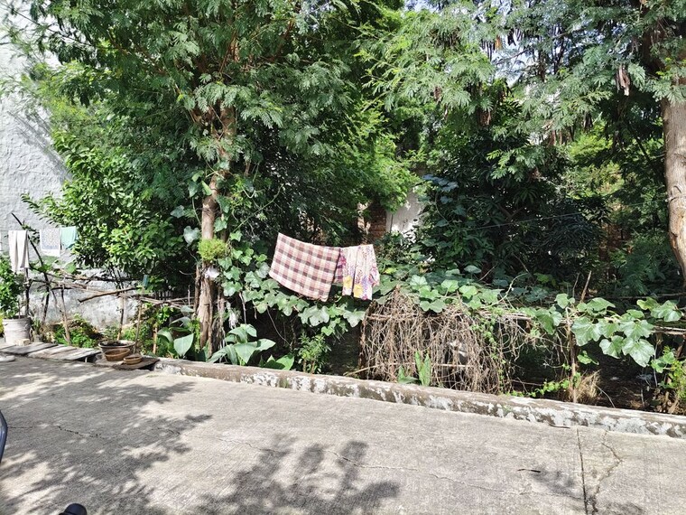undefined, shyam vihar  2007 Sq.Ft. Plot In Shyam Vihar Delhi 10633516