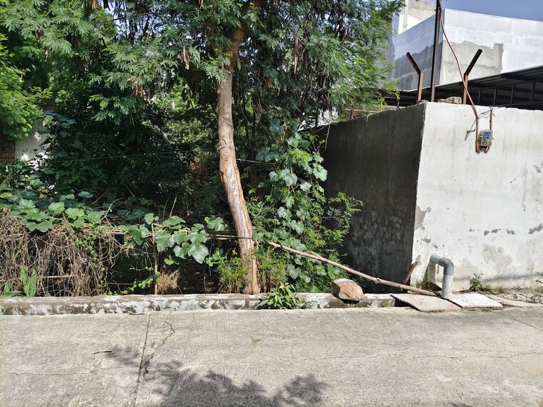 undefined, shyam vihar  2007 Sq.Ft. Plot In Shyam Vihar Delhi 10633516