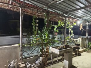 Living Room in 4 BHK Villa at Laharpur – for Sale
