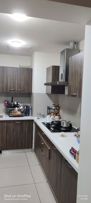 Kitchen in 2.5 BHK Apartment at Ireo The Corridors, Sector 67a – for Rent