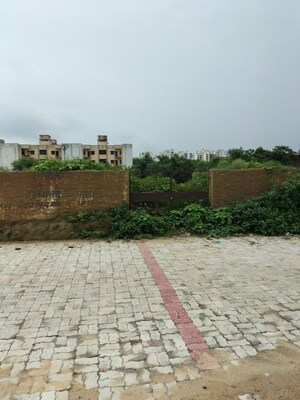  Land For Rent in Awadh Vihar Yojna