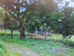 2400 Sq.Ft. Plot in Tata Nagar