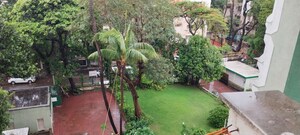 3 BHK Apartment For Rent in Sterling Seaface, Worli