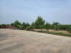 Plot Area in  Plot at Jait – for Sale