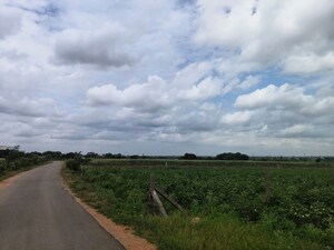 Plot Area in  Land at Shabad – for Sale
