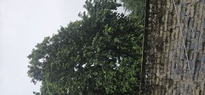  Plot For Sale in GSR Kalp City, Omaxe City