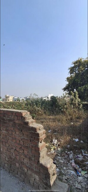 Plot Area in  Plot at Halduchaur Parma – for Sale