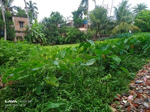  Plot For Sale in Ghola