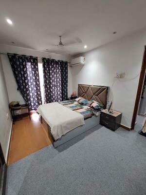1 BHK Apartment For Rent in DB Orchid Ozone, Dahisar East
