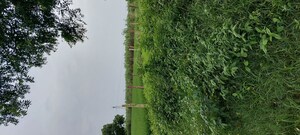  Plot – Garden View at Pachgain Khera - for Sale