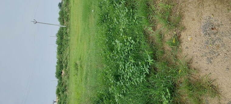 undefined, pachgain khera  125 Sq.Yd. Plot In Pachgain Khera Agra 10635342