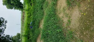 Plot Area in  Plot at Pachgain Khera – for Sale