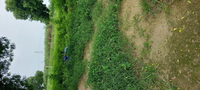undefined, pachgain khera  125 Sq.Yd. Plot In Pachgain Khera Agra 10635342