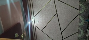 Building Lobby in 5 BHK Independent House at Ganga Nagar – for Sale