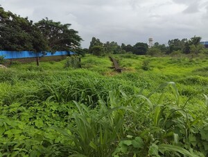  Plot For Sale in Khopoli