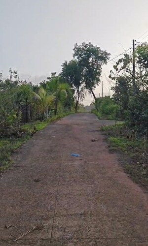  Plot For Sale in Tamhini