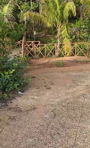 Plot Area in  Plot at Tamhini – for Sale