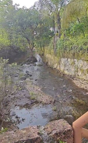 Plot Area in  Plot at Tamhini – for Sale