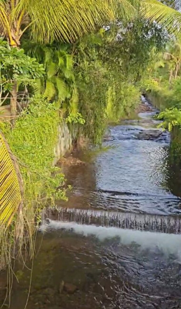 Garden, tamhini  18750 Sq.Ft. Plot In Tamhini Pune 10635911