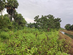  Land – Exterior View View at Sabbavaram - for Sale